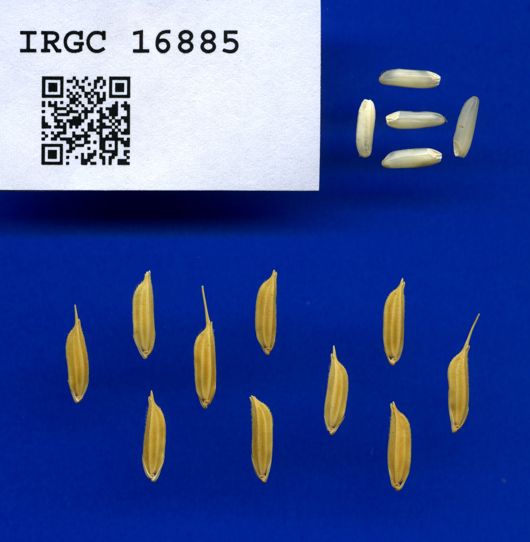 94018ce3-9156-4ca1-94df-f9fe75cb2ec3.jpg